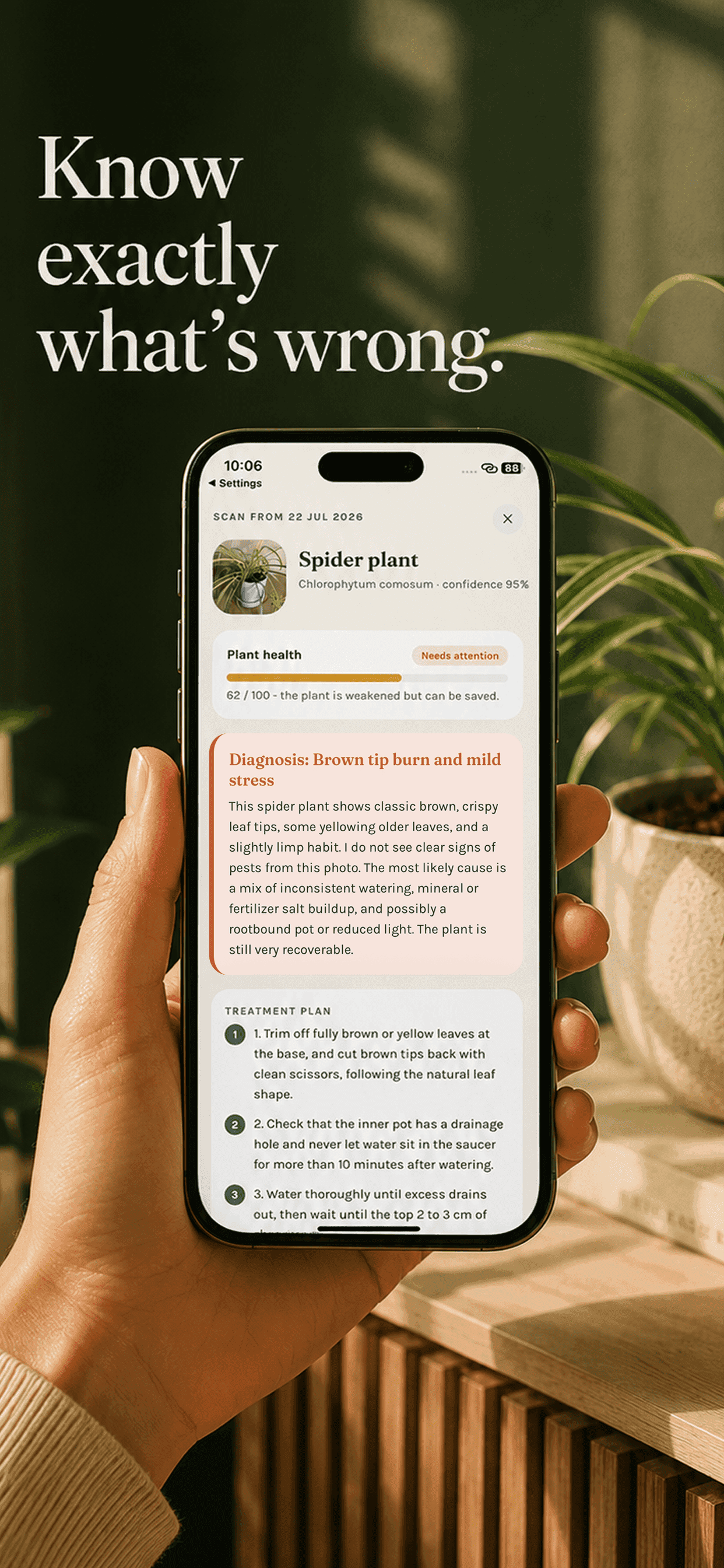 A Gardenix diagnosis screen with a health score and step-by-step treatment plan