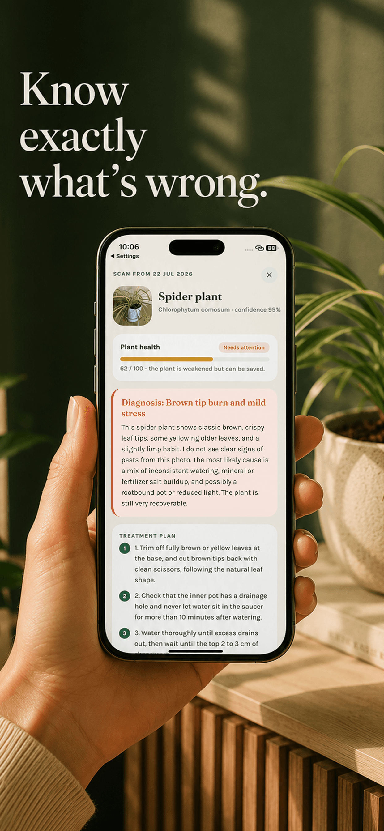 Gardenix app diagnosing a spider plant