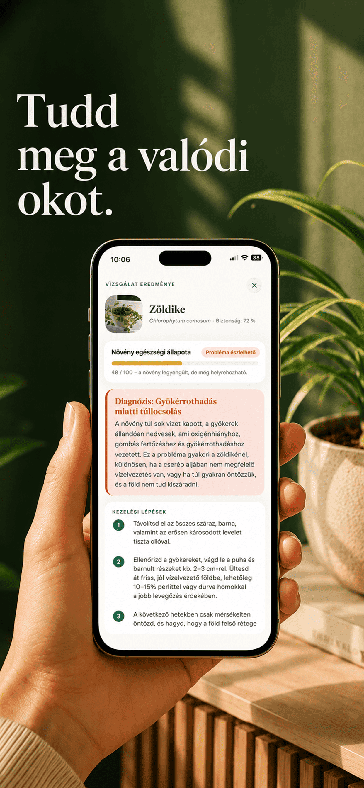 A Gardenix alkalmazás egy zöldike diagnózisát mutatja egészségpontszámmal és a valószínű okkal