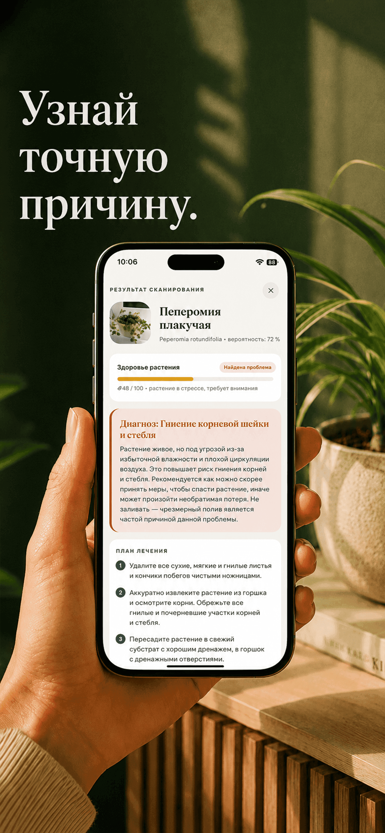Приложение Gardenix показывает диагностику хлорофитума с оценкой здоровья и вероятной причиной