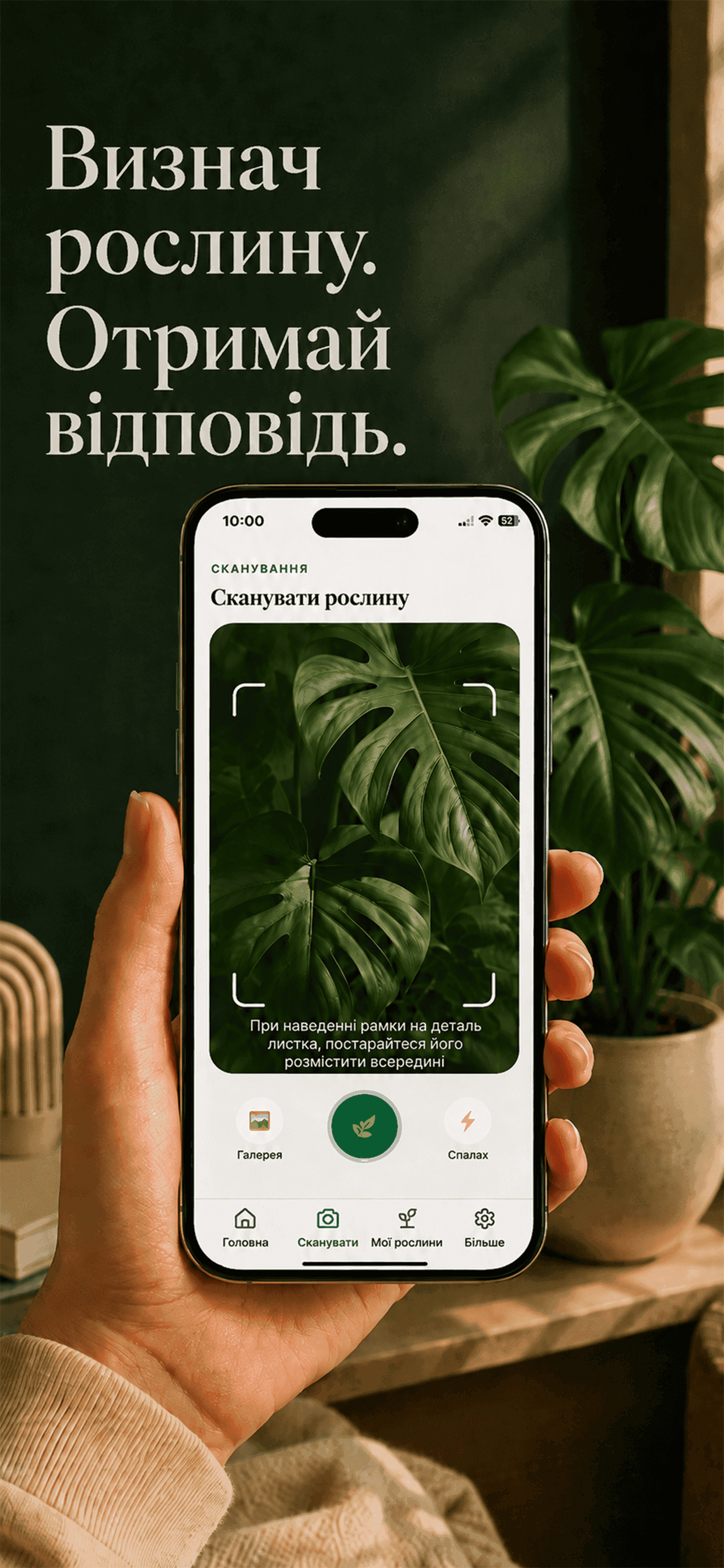 Екран камери Gardenix наводиться на монстеру для сканування