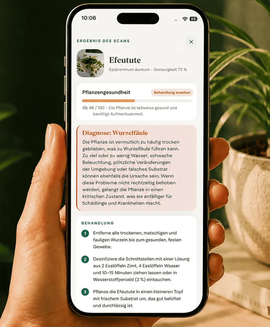 Ein Gardenix Scanergebnis mit Pflanzenname, Vertrauenswert, Gesundheitswert und einem Behandlungsplan Schritt für Schritt.