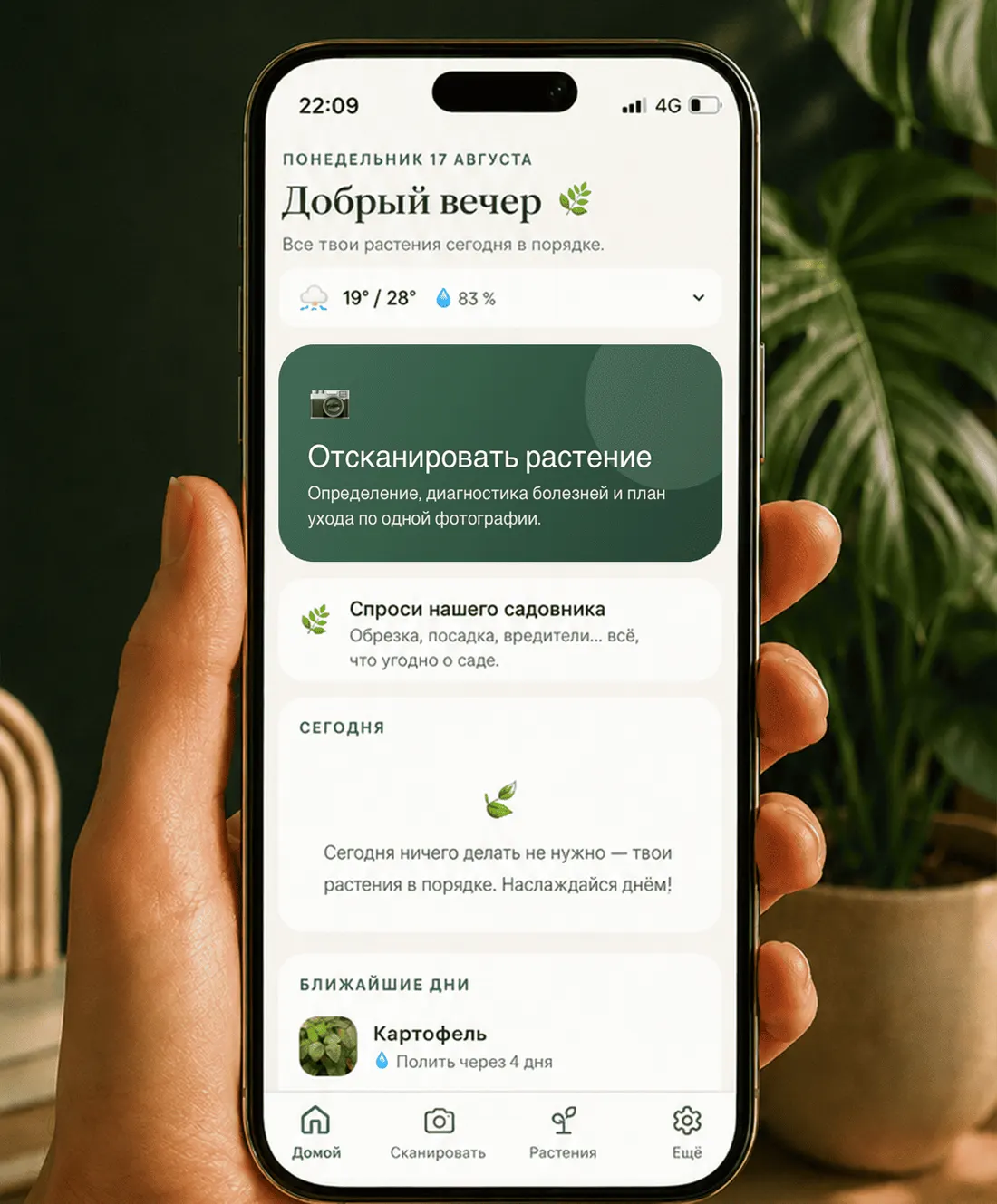 Главный экран Gardenix с погодой, сегодняшней задачей и растениями, которые идут следующими.