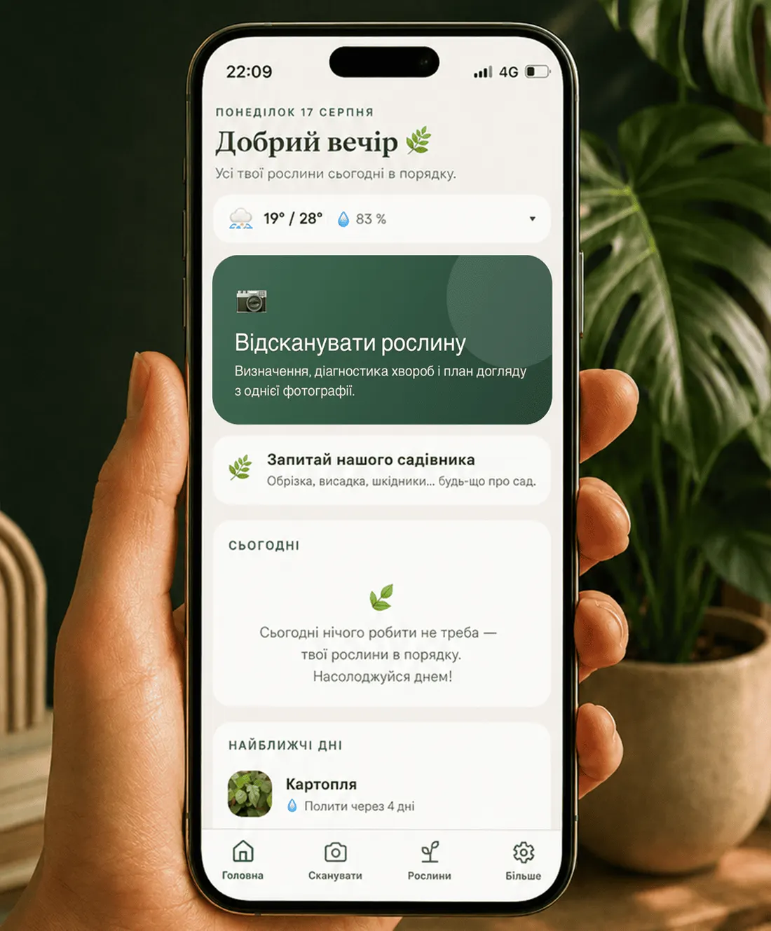 Головний екран Gardenix із погодою, сьогоднішнім завданням і рослинами, які будуть наступними.