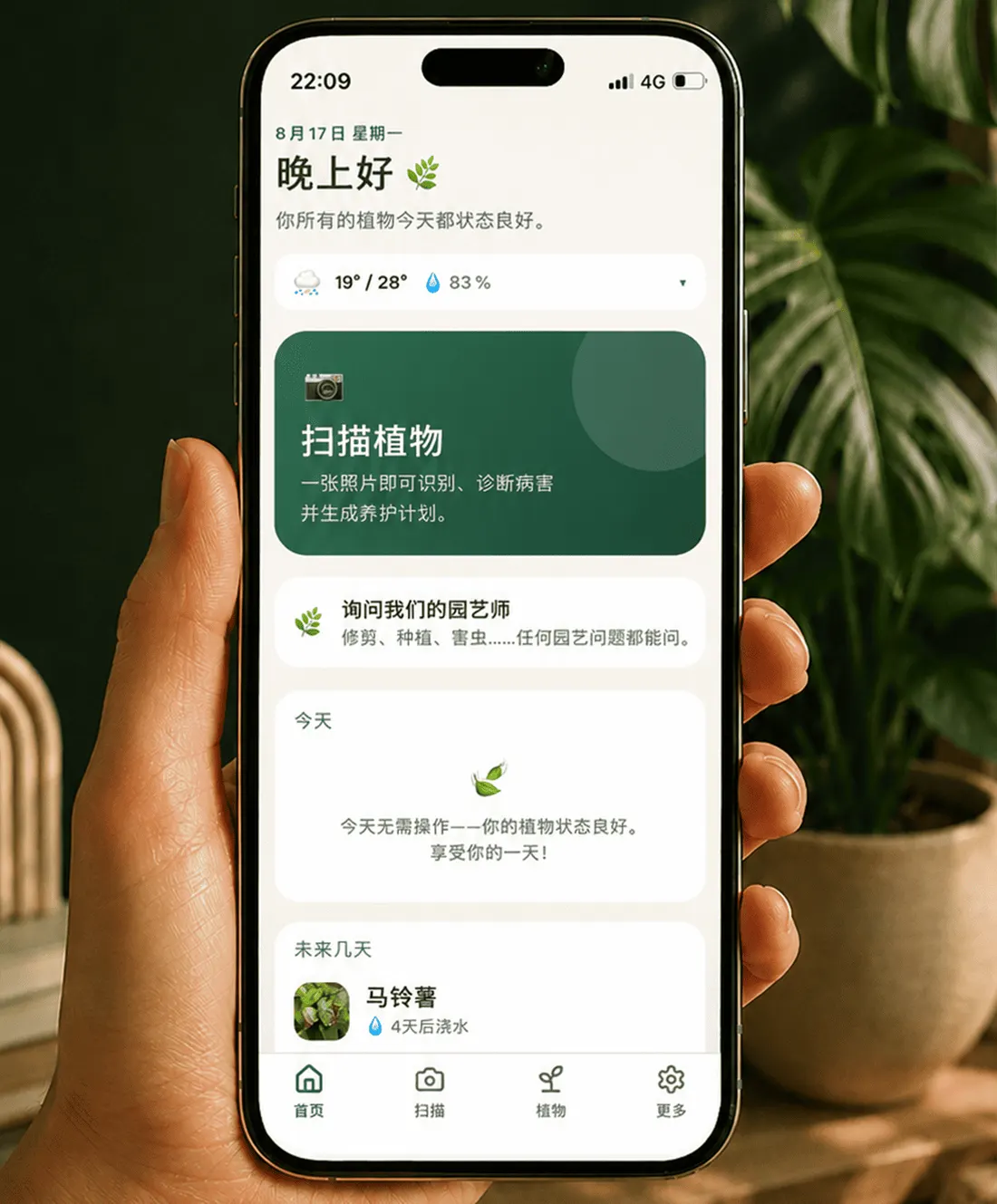 Gardenix 的主界面：当地天气、今天要做的事，以及接下来轮到的植物。